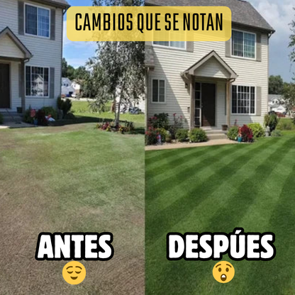 ✨ HORMONA Y FERTILIZANTE DE CRECIMIENTO🌿 (🌱 Tesoro Verde Activado 🌱)